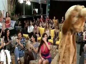 50 Sluts Sucking Party Dick  275