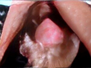 Kurkku Tuhoaa Kusen Juomisen Huoran