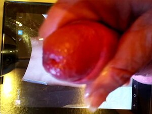 Neues Tribut Video Fuer MK4047