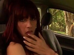 Een Kleine Reis Door Het Bos Zal Me Goed Doen