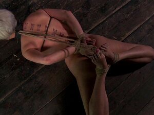 Lustvolles Halsband Für Die Süße Babe. Die Schönheit Bekommt Ein Halsband Und Weit Gespreizte Beine