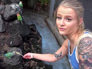 Paris Får Träffa Delfiner!