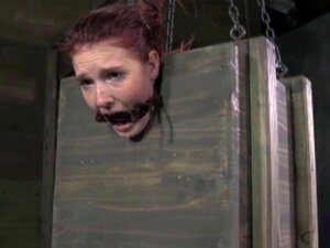 BDSM-Sub Hat Beide Löcher Mit Spielzeug Bearbeitet. BDSM-Sub Hat Beide Löcher Tief Mit Spielzeug Bearbeitet, Während Sie Aufgehängt Und Gefesselt Ist