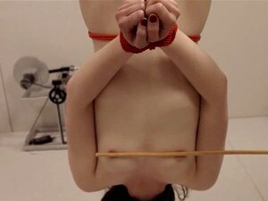 Zarter Dildo-Anal-Sex Mit Seil-BDSM-Lehrer