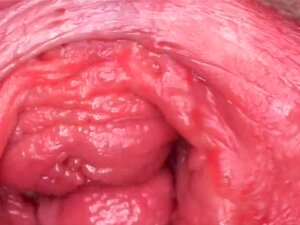Flörtig Tjeckisk Sötnos Sträcker Sitt Rosa Hål Till Speci. Vacker Tjeckisk Skönhet öppnar Upp Slät Fitta Och Stoppar Bizzare Leksak Extremt Inuti Med Den Bästa Orgasmen