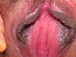 Japanska Prorez Igra 51