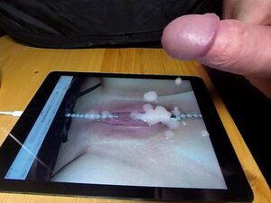 Sperma Dla Mojej żony, Hołd Dla Mojej żony