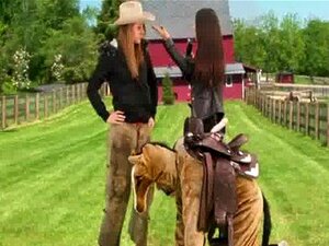 Seks Betalen Mijn Rekeningen 17