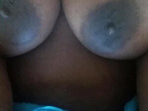 Stora Tuttar Studsar